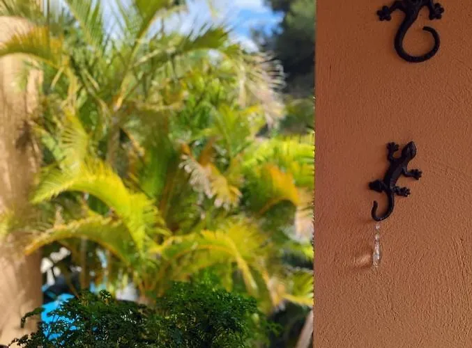 Appartamento - Playa Alicate 2br *