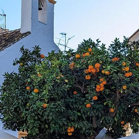 - Playa Alicate 2br Apartman