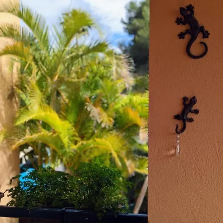 Apartamento - Playa Alicate 2br *