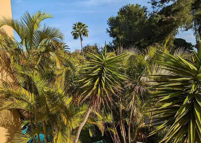 - Playa Alicate 2br Lejlighed